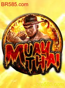 MuayThai: Descubra as Regras e a Emoção do Jogo Relacionado a BR585.com